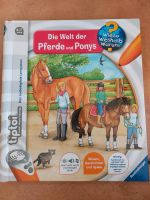 Tiptoi Buch "Die Welt der Pferde und Ponys" Hessen - Tann Vorschau