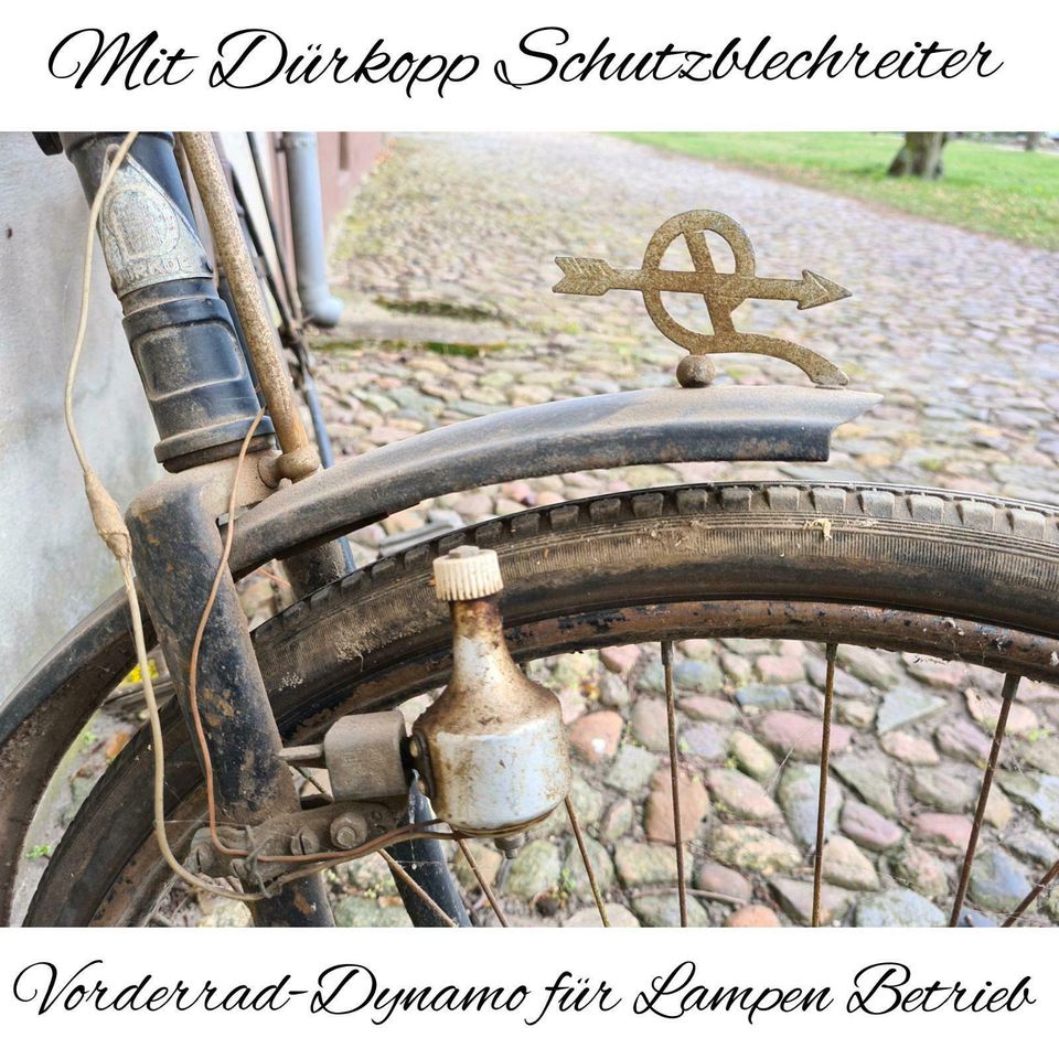 Dürkopp Vorkrieg Oldtimer Fahrrad Herrenrad RH 56 kein NSU Miele in Gommern