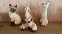 Katzenfiguren Keramik Stuttgart - Stuttgart-Ost Vorschau