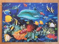 Puzzle Clementoni 1000 Teile Dolphin Magic 3D vollständig Bayern - Hohenfurch Vorschau