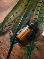 Zendocrine doterra ätherische öle neu ungeöffnet 15 ml Hessen - Kassel Vorschau