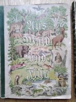 Sammelalbum, Sammelband - Aus Wald und Flur - Tiere unserer Heima Sachsen-Anhalt - Gräfenhainichen Vorschau