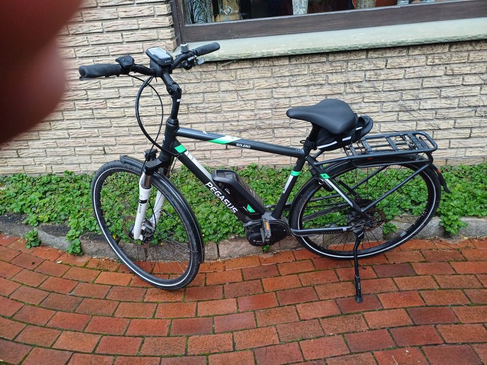 Fahrrad Pegasus Solero E8 He28 gr  Rh53cm Trek in Wallenhorst