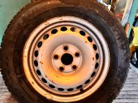 VW T5, T6, T6.1 Reserverad 215/65 R16 C Sachsen - Zschorlau Vorschau