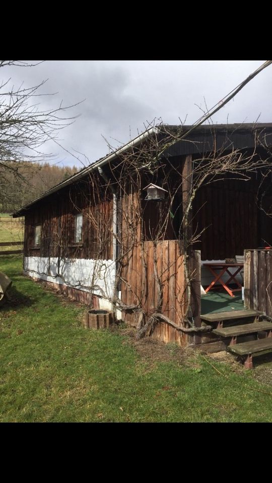 Urlaub mit dem eigenen Pferd in Philippsthal (Werra)