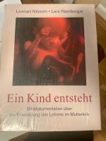 Ein Kind entsteht Buch Kreis Pinneberg - Pinneberg Vorschau