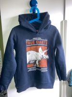 Kapuzenpulli Hoodie Dinosaurier Kapuze Pullover Gr. 116/122 Nordrhein-Westfalen - Detmold Vorschau