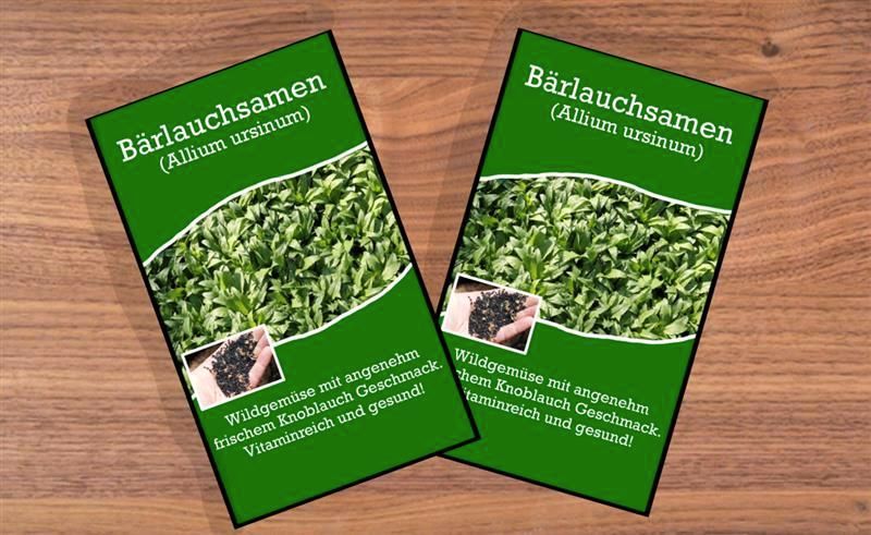Bärlauch Samen Allium ursinum Waldknoblauch Kräuter Knoblauch in Neckarsulm