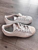 Adidas Superstars - weiß - 38 2/3, guter Zustand! Hessen - Hattersheim am Main Vorschau