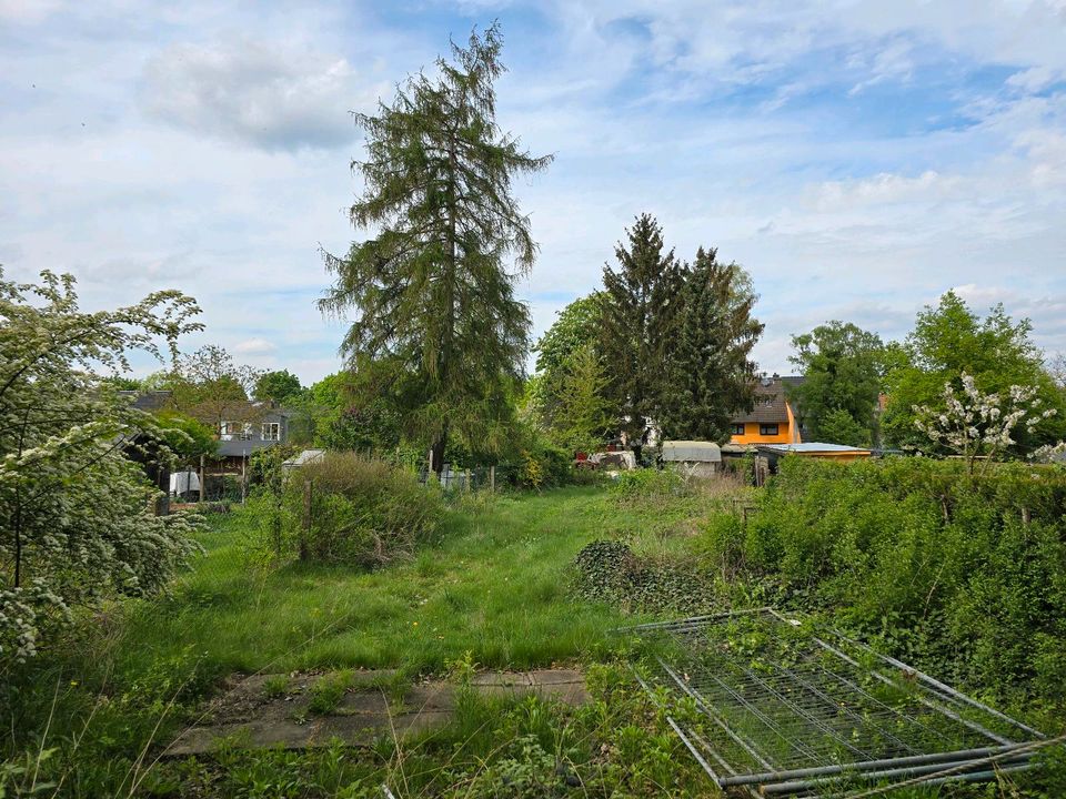 Freizeitgrundstück zu vermieten, Niederpleis, Preis pro Monat! in Hennef (Sieg)