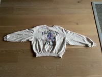 Sweatshirt beige H&M 146/152 Herzogtum Lauenburg - Wentorf Vorschau