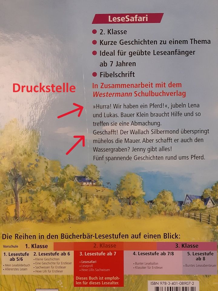 Röhrig | Pferdegeschichten (Bücherbär 2. Klasse LeseSafari) in Werther (Westfalen)