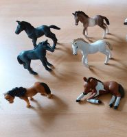 Schleich Fohlen, Pferde Bayern - Münnerstadt Vorschau