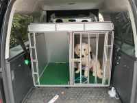 Hundebox XL Caddy Maxi Herrmann Box Baden-Württemberg - Ludwigsburg Vorschau