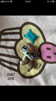 #2287 Frettchen LPS Littlest pet shop Spielzeug Glitzer Figur Sachsen - Döbeln Vorschau