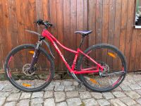 Centurion EVE Pro 100 29 MTB Kinder Sachsen - Zschorlau Vorschau