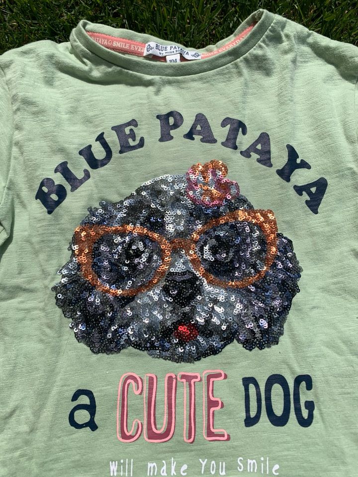 Blue Pataya Langarmshirt 104 Pailletten Hund hellgrün in Nürnberg (Mittelfr)