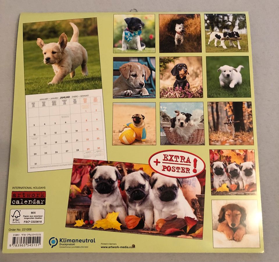 Kalender mit Hundewelpen in Mettmann