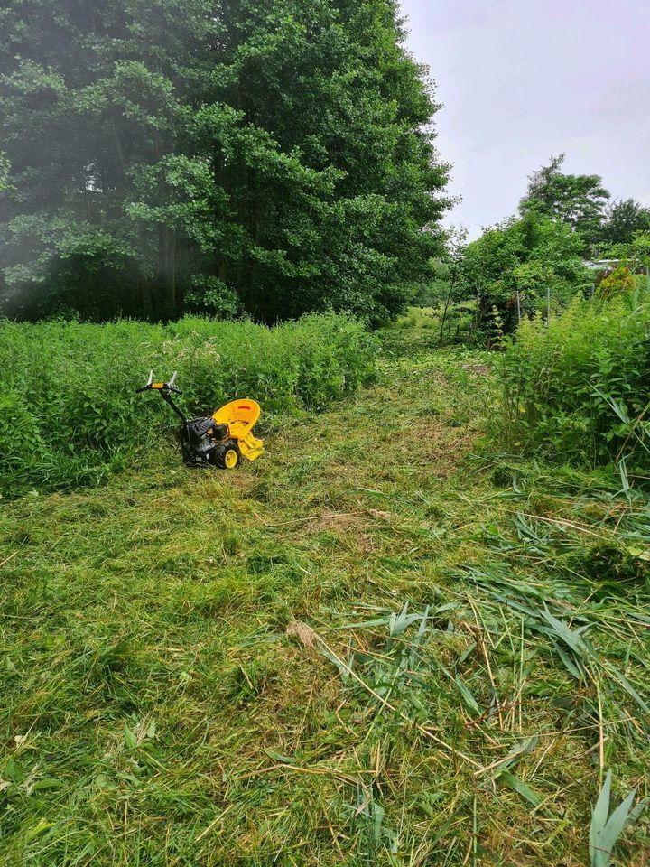 Gartenpflege dauerhaft ,  Gartenarbeiten,  Pflanzungen,  Planung in Glienicke/Nordbahn