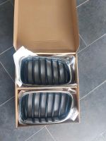 Original BMW X3 F25 Nieren Ziergitter Gitter Nordrhein-Westfalen - Netphen Vorschau