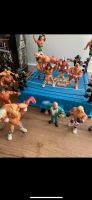 WWF Wrestling Hasbro Figuren mit Ring Nordrhein-Westfalen - Wetter (Ruhr) Vorschau