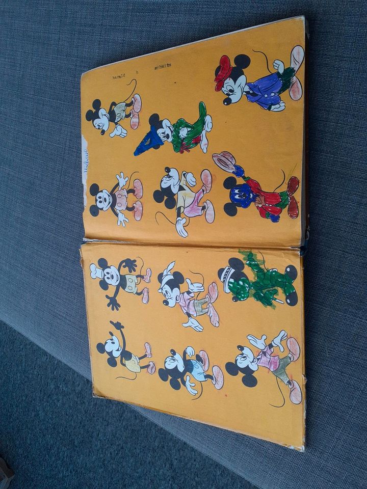 Walt Disney Buch Micky Maus in Jünkerath