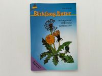 NEU Blickfang Natur Window Color Vorlagen Topp Verlag Bremen - Schwachhausen Vorschau