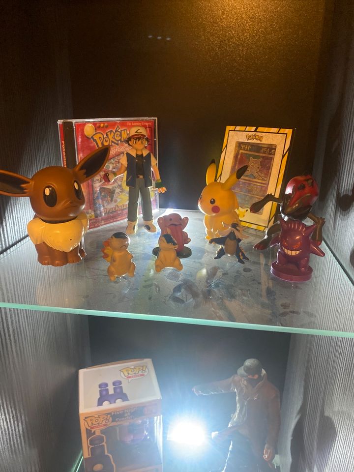 Pokémon Figuren in Kerpen