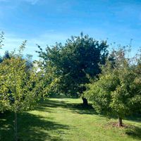 Baugrundstück/Gartengrundstück in Kieselbach Thüringen - Merkers-Kieselbach Vorschau