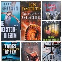 Thriller Buchpaket für 25,- € Rostock - Brinckmansdorf Vorschau