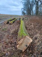 Eschenstamm Holz Baden-Württemberg - Osterburken Vorschau