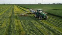 Schwaden von Heu und Silage Sachsen-Anhalt - Goldbeck Vorschau