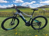 Haibike Sduro 7.0 29 Zoll Hardtail Nordrhein-Westfalen - Meschede Vorschau