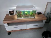 60 Liter Aquarium komplett. Nordrhein-Westfalen - Mönchengladbach Vorschau