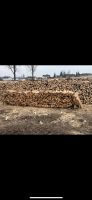 Brennholz Buche Meterholz Raummeter Kaminholz Baden-Württemberg - Heidenheim an der Brenz Vorschau