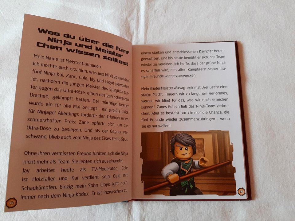 LEGO NINJAGO Meister der Elemente Buch lesen NEU in Waldmohr