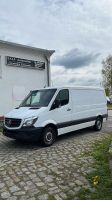 Mercedes Benz Sprinter 316 NGT, Mwst. ausweisbar, wenig Kilometer Mecklenburg-Vorpommern - Stralsund Vorschau