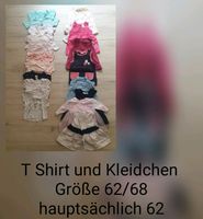 T Shirt und Kleidchen gr. 62/68 Baden-Württemberg - Bietigheim Vorschau