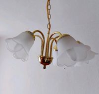 Deckenlampe inkl. Leuchtmittel Lampe Hängelampe 5 Glocken Brandenburg - Randowtal (Schmölln) Vorschau