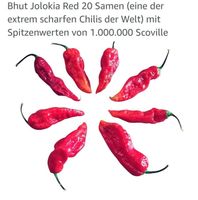 Chili Pflanzen, Bhut Jolokia Red Bayern - Huisheim Vorschau