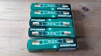 5 Sylvania Flood Halogen Lampe 150 Watt 230 V Brandenburg - Brandenburg an der Havel Vorschau