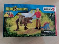 Schleich Dinosaurier T-Rex Angriff 41465 Hessen - Ortenberg Vorschau