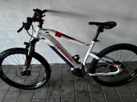 E-Bike SDURO 5.0 Ramen L Rheinland-Pfalz - Dittweiler Vorschau