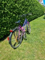 Damenrad/ Citybike Zella - Anrode Vorschau