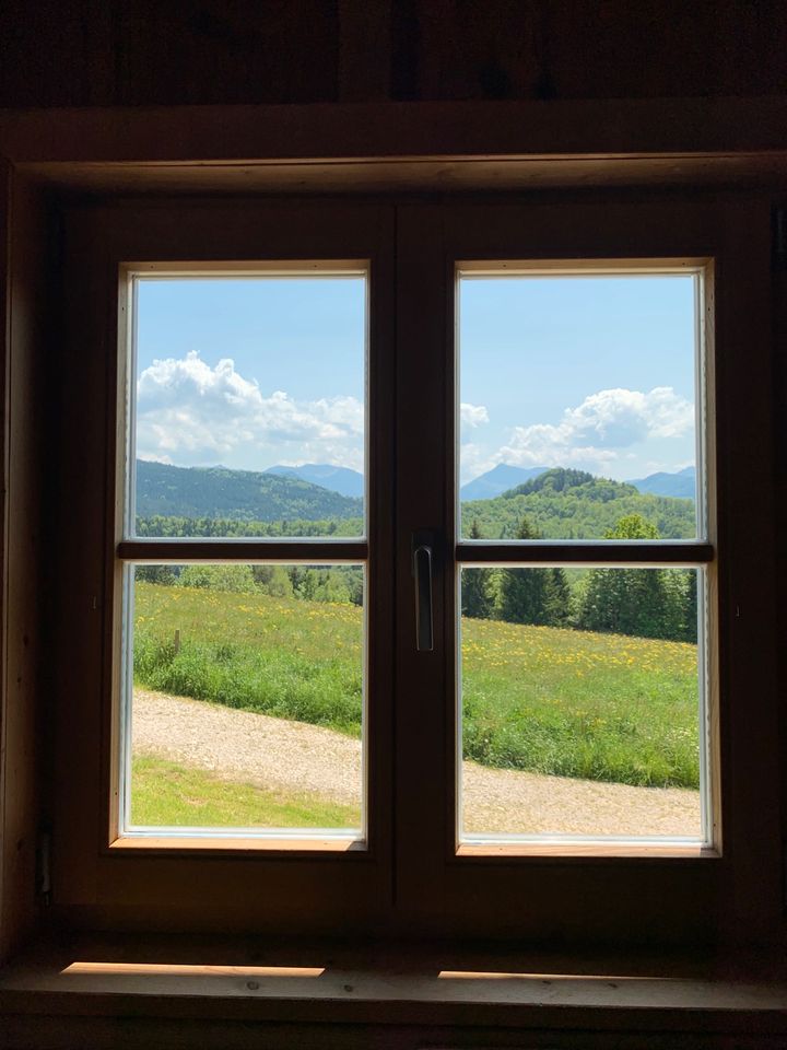 Professionelle Fensterreinigung, Fensterputzer im Oberland in Hausham