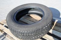 Sommerreifen Platin RP510 VAN 215/65 R16C 109/107R Sachsen-Anhalt - Quellendorf Vorschau