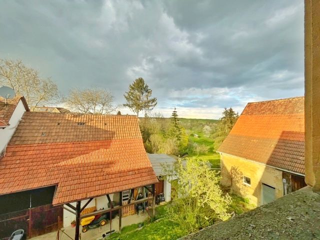 Historisches Bauernhaus mit Wintergarten, Scheune und Stallungen für leidenschaftlichen Handwerker in Gundelsheim