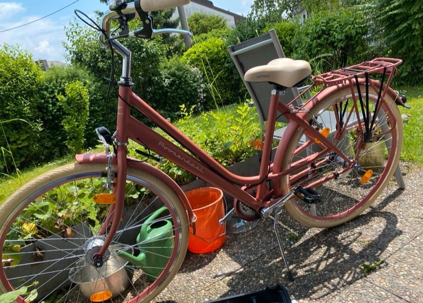 Rosé Damenfahrrad in Freiberg am Neckar