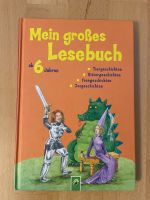 Mein großes Lesebuch ab 6J. Tier-/Ritter-/Feen-/Zoogeschichten Frankfurt am Main - Hausen i. Frankfurt a. Main Vorschau