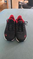 herren schuhe von puma 43 Hessen - Michelstadt Vorschau